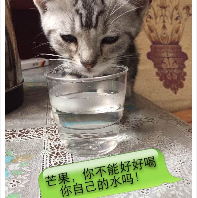 买张日本甲南大学文凭毕业证